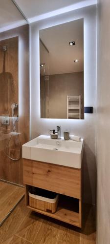 a bathroom with a sink and a mirror at Bjelasnica A6 in Bjelašnica