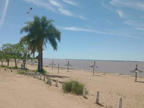 a beach with a palm tree and some umbrellas at Alojamiento Los Imigrantes in Chajarí