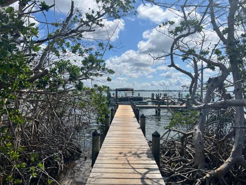 a wooden boardwalk leading into the water with trees at Family Tides on LGI - Golf Cart Included in Placida
