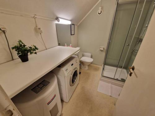 y baño pequeño con lavadora y ducha. en Smaller apartment next to bridge en Tromsø