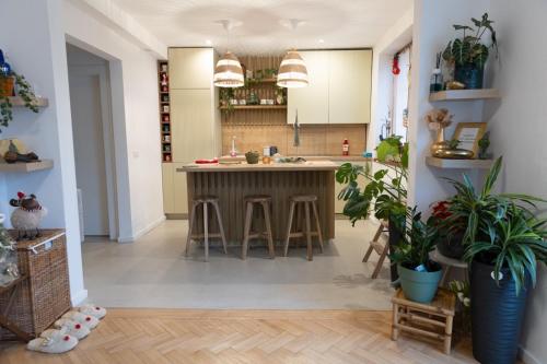 a kitchen with a island and some potted plants at Sweet cozy Ultracentral in Craiova