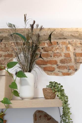 a white vase sitting on a shelf with plants at Sweet cozy Ultracentral in Craiova