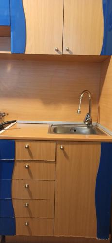 Η κουζίνα ή μικρή κουζίνα στο Apartman Nissa