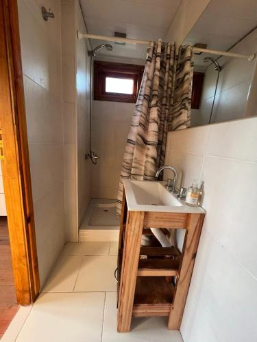 a bathroom with a sink and a shower at Los colibries in Mar de Cobo