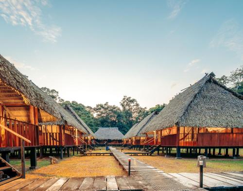 Une rangée de cabanes au toit de chaume dans l'établissement Waita Lodge, à Cuyavenus