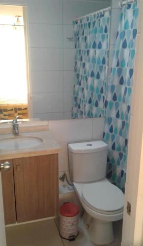 a bathroom with a toilet and a sink and a shower at El placer de hospedar in Santiago