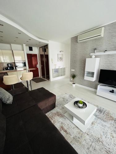 ein Wohnzimmer mit einem Sofa und einem Couchtisch in der Unterkunft Marina Bay Apartman in Budapest