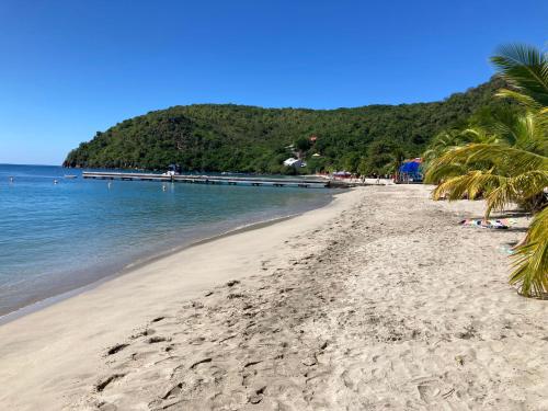 a sandy beach with palm trees and the ocean at Caraïbe in Les Anses-dʼArlets