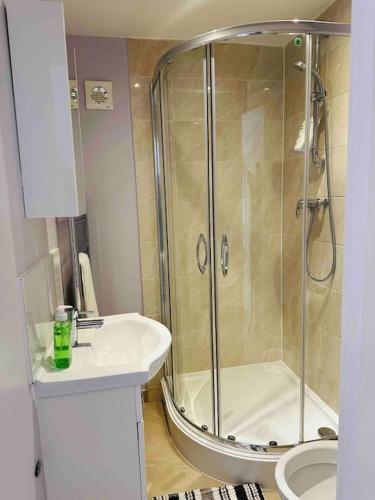 a bathroom with a shower and a sink and a toilet at Milne House in Oxford