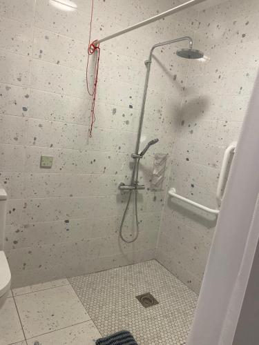 a shower stall in a bathroom with a toilet at Bill's Barns, Apartment 1 in Kenmare