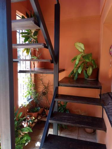 Palanda nebo palandy na pokoji v ubytování La Casa de Sol