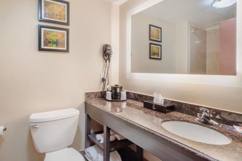 a bathroom with a toilet and a sink and a mirror at Comfort Inn by Choice Hotels Orange, TX in Orange