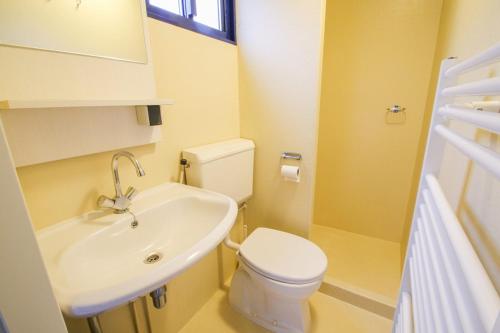 La salle de bains est pourvue de toilettes blanches et d'un lavabo. dans l'établissement Chalet Veluwe G10 Veldkamp 4 Personen, à Epe