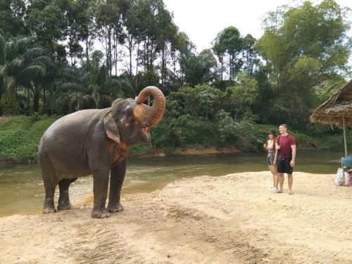 an elephant standing on a beach next to a couple at Khao Sok River & Jungle Bungalow in Khao Sok
