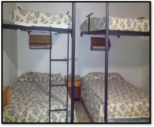 two bunk beds in a room with a bed at Hostal de Escandón in Ciudad Victoria