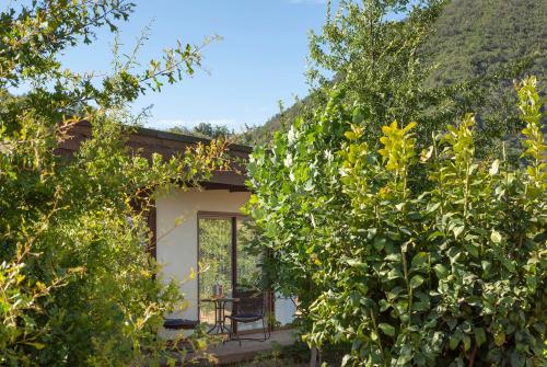a house obscured by trees with a chair in front of it at Callihue Lodge in Santa Cruz