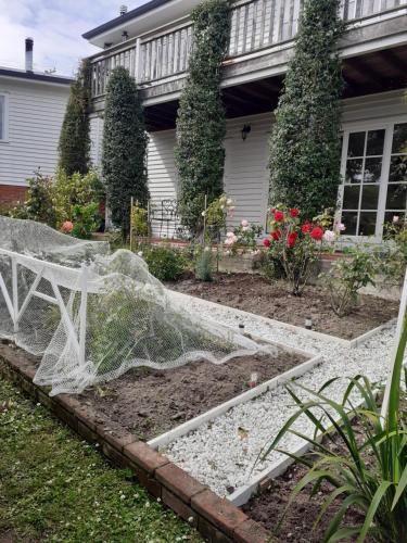 een tuin met een net voor een huis bij Magnolia Cottage in Christchurch