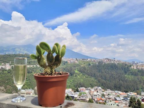 a potted plant and a glass of wine on a ledge at Casa Cuscungo Family Experience in Quito