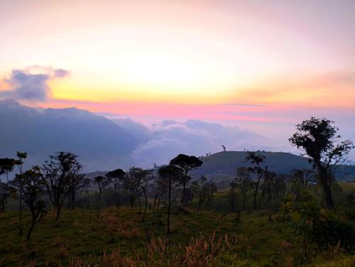 un coucher de soleil sur un champ planté d'arbres et d'une colline dans l'établissement La Casona Pilaló, 