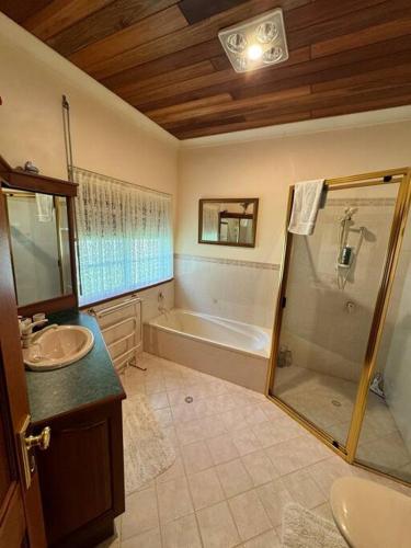 a bathroom with a shower and a sink and a tub at Oasis of Hope - Main House in Upper Orara