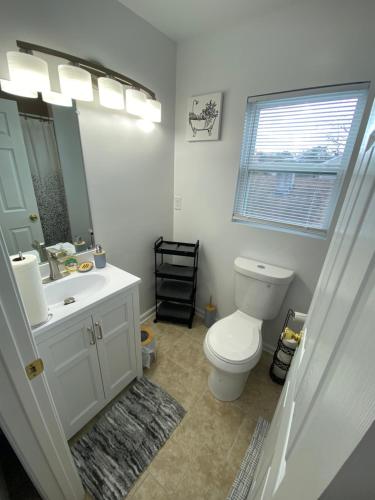 ノーフォークにあるThe Chesapeake Grayのバスルーム(トイレ、洗面台、鏡付)