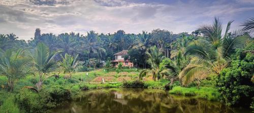 a house on a hill next to a river with palm trees at Paradise Single Room in Wayanad