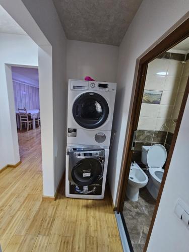 a washer and dryer in a room with a toilet at Apartament 3 camere plus living, 2 bai, modern in Craiova