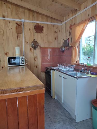 uma cozinha com paredes de madeira, um lavatório e um fogão em cabaña zoila em Coñaripe