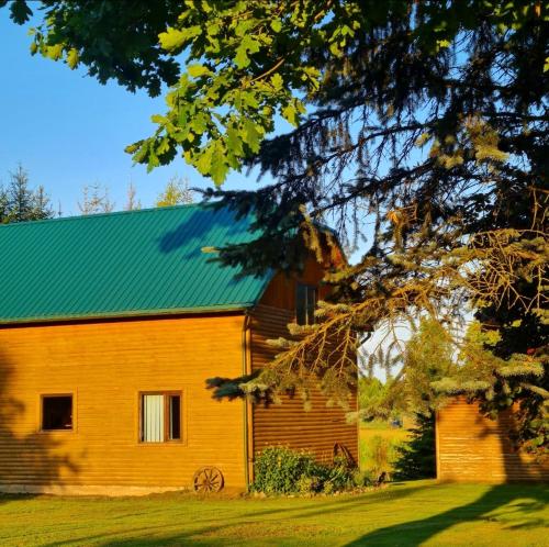 un antiguo granero de madera con techo verde en Gintarinė Sodyba, en Pilypai