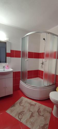 a bathroom with a shower and a toilet and a sink at Cabana Inima Munților in Gîrda de Sus