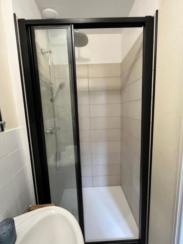 a shower stall in a bathroom with a toilet at Maison au coeur du Morvan in Arleuf