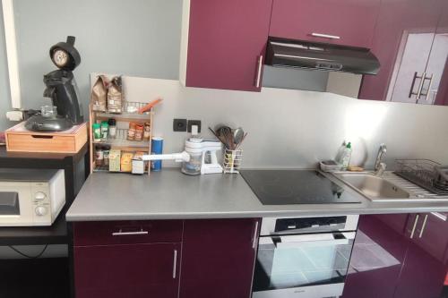 Elle comprend une petite cuisine avec des placards violets et un évier. dans l'établissement Maison, proche de Lille et grand stade olympique, à Lezennes
