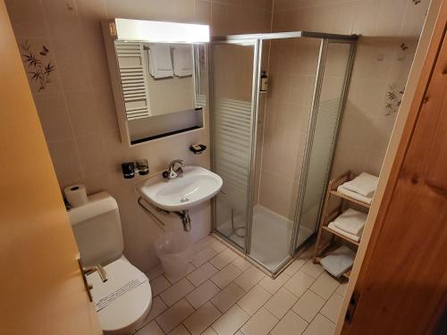 a bathroom with a shower and a toilet and a sink at La Tour d'Aï in Leysin