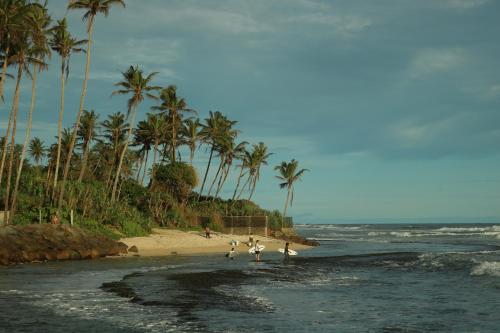 a group of people walking on a beach with palm trees at The Drop In Surfhouse Madiha in Madihe East