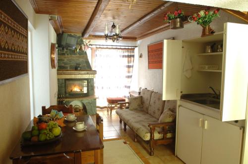 a kitchen and living room with a couch and a fireplace at Rigas Hotel Arachova in Arachova