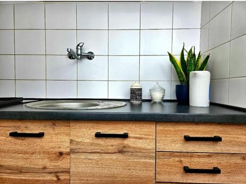 a bathroom counter with a sink and a plant at Pan Tadeusz in Rzeszów