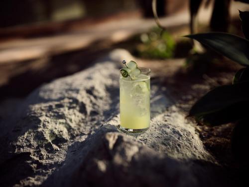 a drink sitting on a rock with a green plant in it at Acro Suites - A Wellbeing Resort in Agia Pelagia