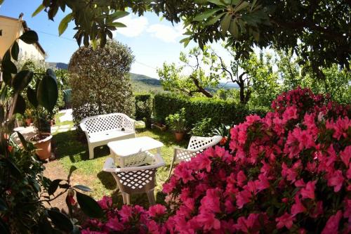 Alla Collina Del Sole – Photos 3