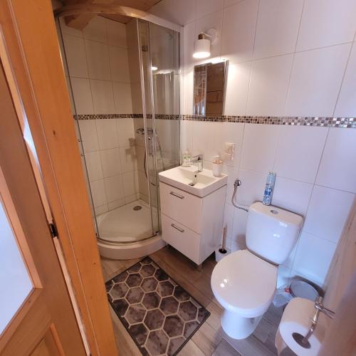 a bathroom with a toilet and a sink and a shower at Domek u Beaty in Dzianisz