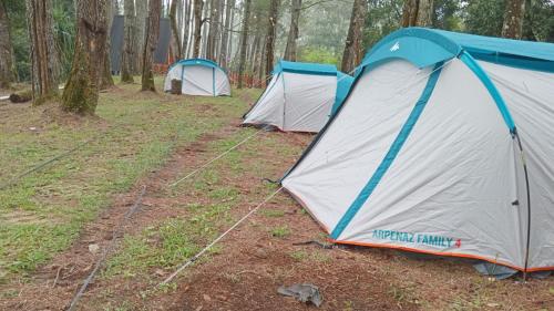 a group of three tents in the woods at Great Panorama Lodge and Camping in Lembang