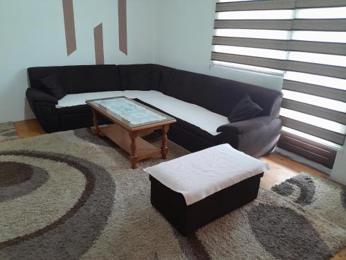 Apartman Begić في ترافنيك: غرفة معيشة مع أريكة وطاولة قهوة