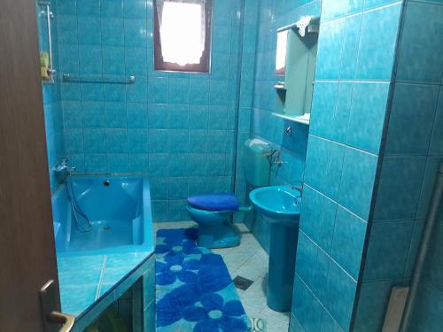 Apartman Begić في ترافنيك: حمام ازرق مع مرحاض ومغسلة