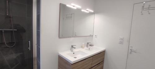 a bathroom with a sink and a mirror and a shower at Freddy's house in Wimille