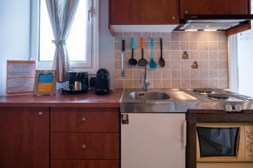 a kitchen with a sink and a counter top at Belleza Villa in Lixouri
