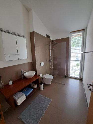 a bathroom with a toilet and a sink and a shower at Wonderful cozy apartment very well located in Gross Gurmels