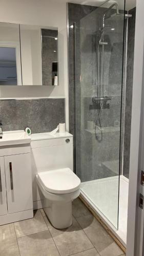 a bathroom with a toilet and a glass shower at Honeysuckle Cottage -PART OF ALTON COTTAGES in Alton