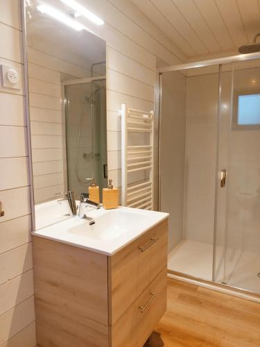 une salle de bain avec un lavabo et une douche dans l'établissement chalet bois cosy et chaleureux, à Lignières