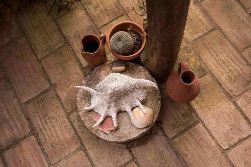 an overhead view of a starfish and some pots at Casa da Luz in Longueira