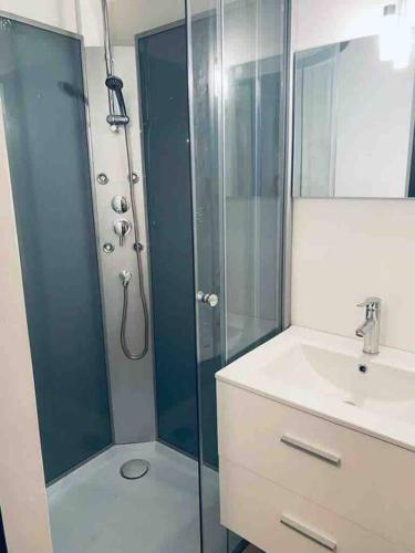 une salle de bain avec douche et lavabo dans l'établissement La chambre des secrets Perougien, à Pérouges