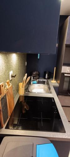 a kitchen with a sink and a stove at Résidence Bel'Air in Aire-sur-la-Lys